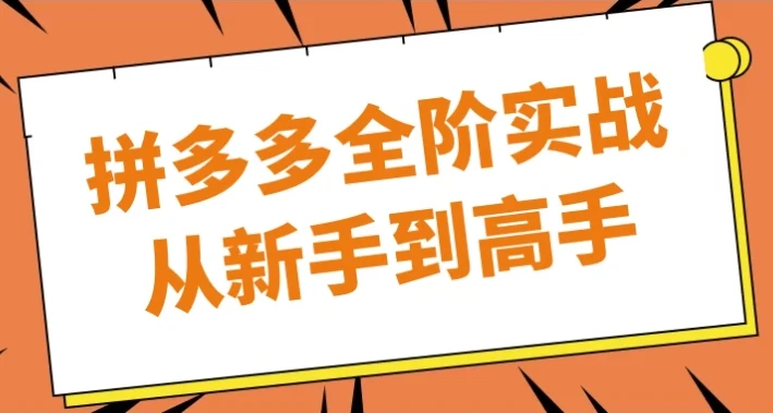 拼多多全阶实战：从新手到高手课程