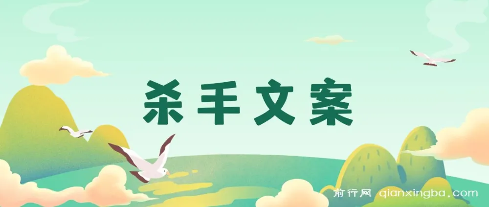 《杀手文案:掌握108封大师手抄赚钱信,开启疯狂变现之路》