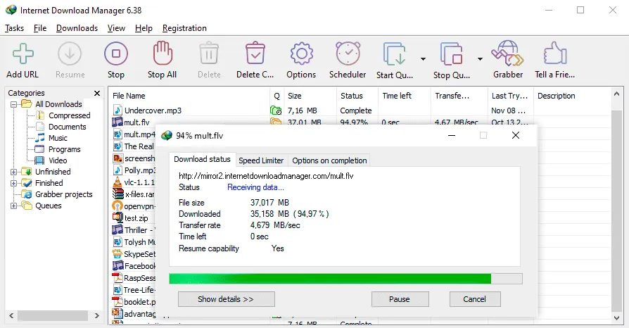 Internet Download Manager 6.42.11中文特别版：强大下载工具