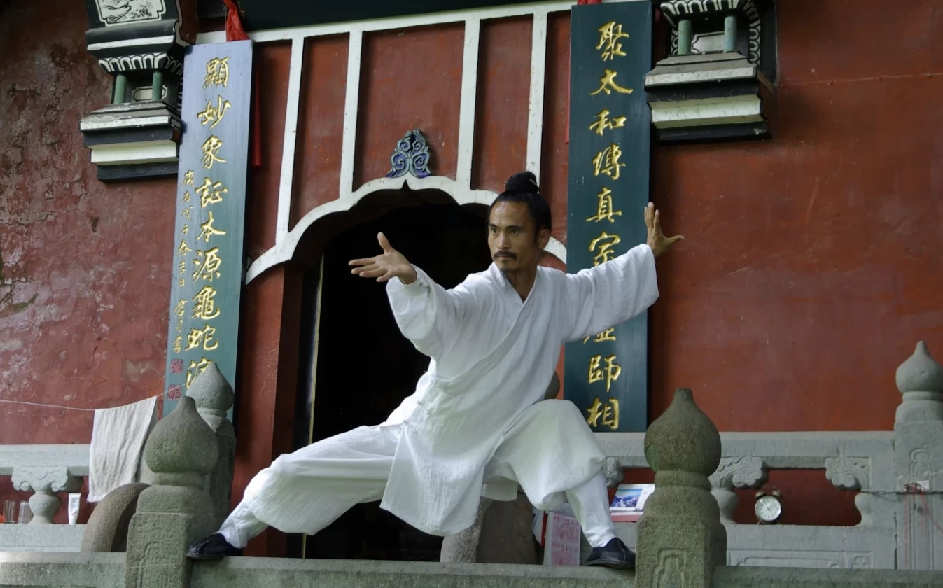 武当袁师懋道长:正宗养生八段锦教学资源