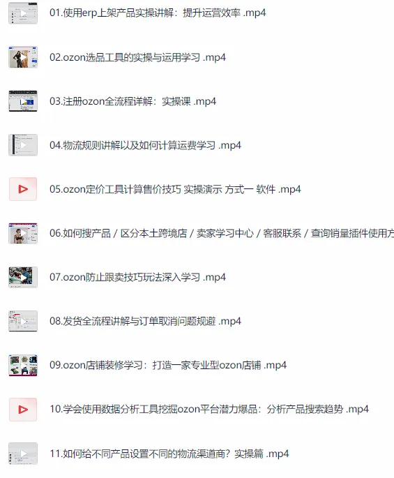 Ozon跨境电商全套运营课程