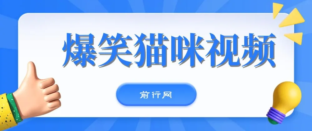 爆笑猫咪视频：视频号搞钱策略课程