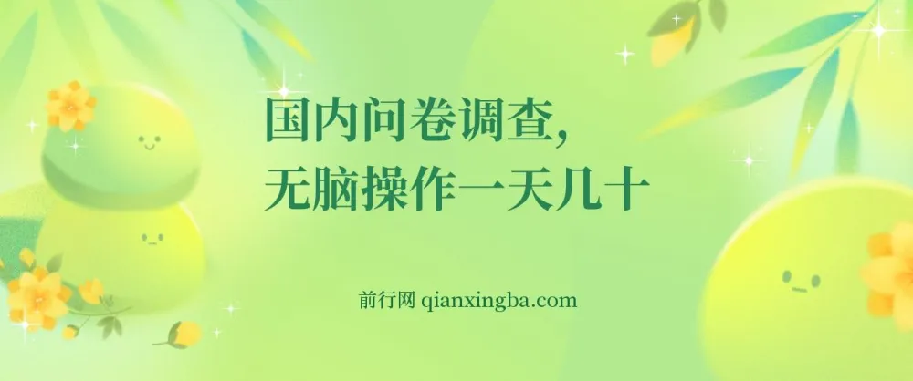 国内问卷调查实操课程：轻松日赚50+