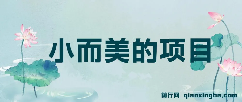 视频点赞赚钱项目：小而美，收益快