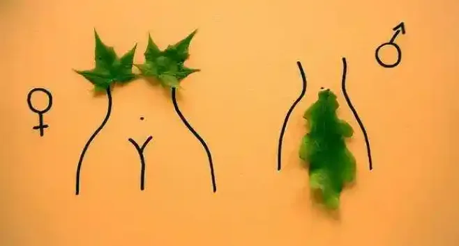 性科学书籍合集:探索多元性健康知识