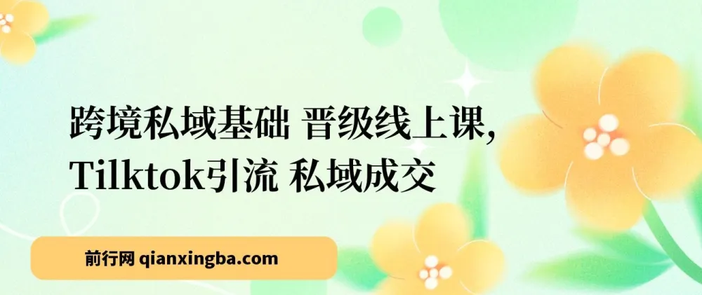 跨境私域基础与晋级线上课：TikTok引流与私域成交
