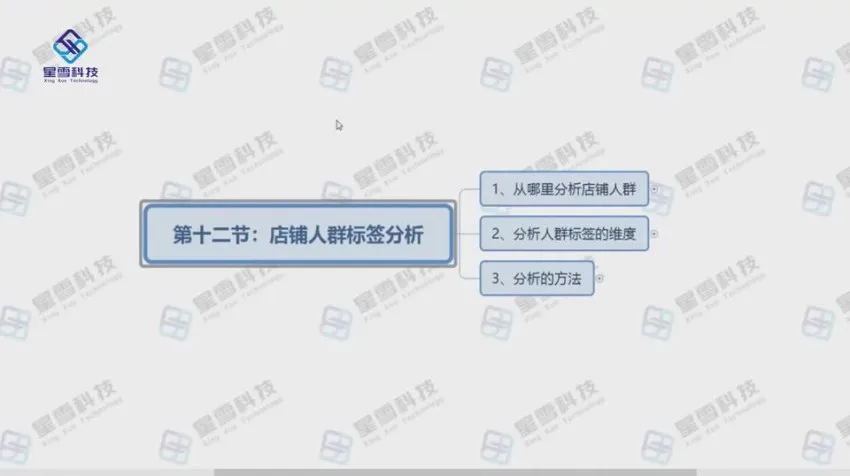 淘系电商运营实战课程：搜索入池至全店动销