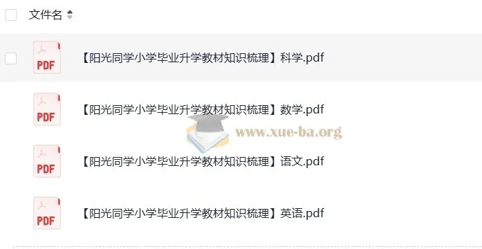阳光同学小升初教材知识梳理