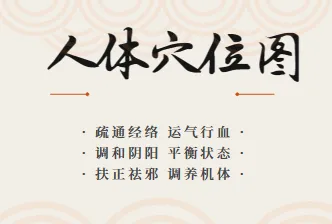 人体穴位图及穴位图解大全