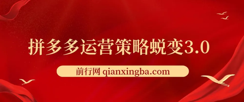 大力老师·2024拼多多运营策略蜕变3.0课程