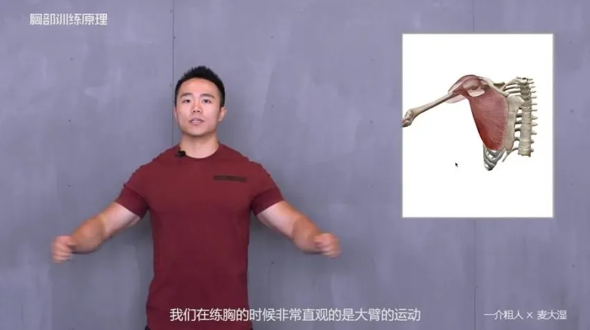 一介粗人x麦大湿胸部训练入门课程