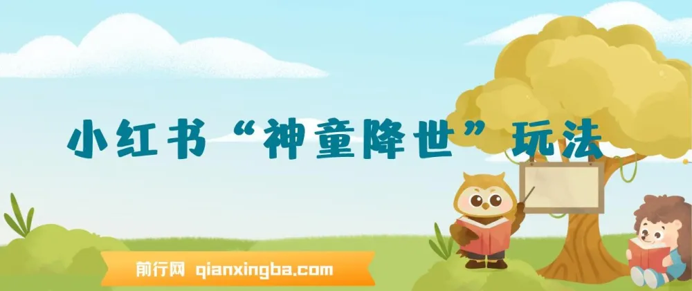 小红书“神童降世”玩法课程：育婴领域起号与私域打造