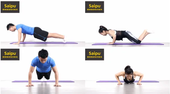 健身训练标准动作教学GIF合集:背腹肩臂腿臀胸与普拉提