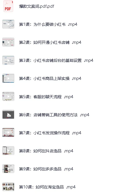 小红书电商运营实操课程：从入门到精通