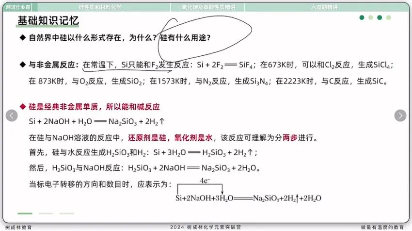 张子涵高考化学元素速记突破营：30天攻克钠铝铁氯等元素