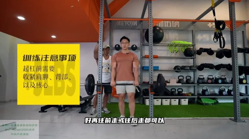 小萝卜四分化高阶健身课程:全年增肌周期训练方案