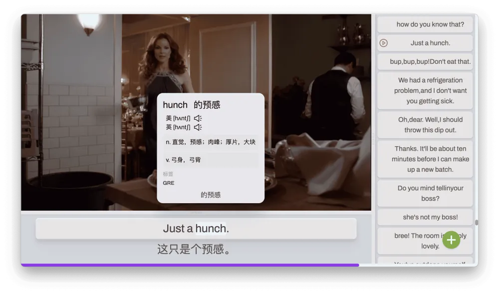 DashPlayer 视频播放器:助力英语学习的实用工具