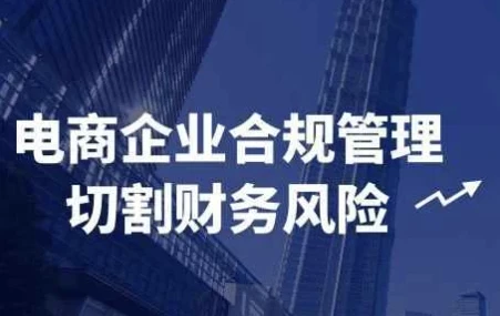 电商企业合规管理:切割财务风险课程