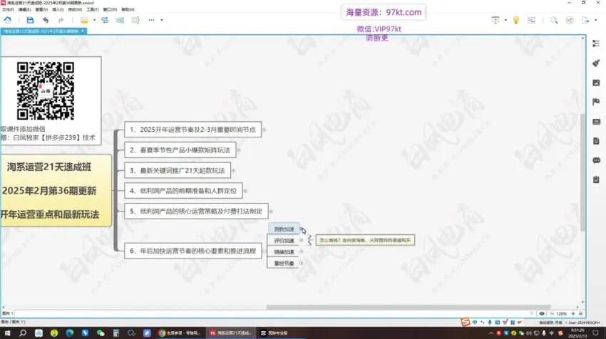白凤电商21天淘系运营速成班：2025最新玩法与万相台无界课程