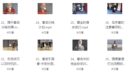 杰森拳击高清系统教学（中英字幕）
