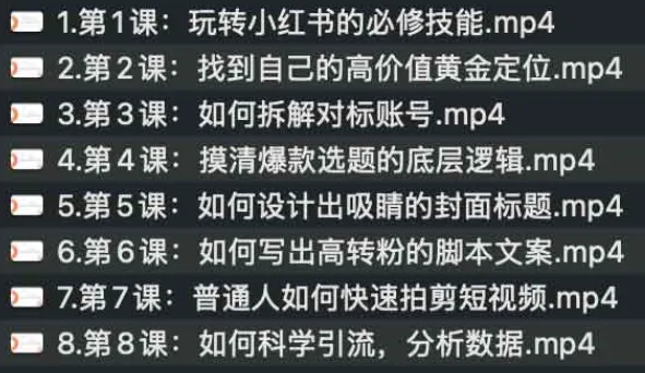 21天从0-1打造变现小红书账号实战课程