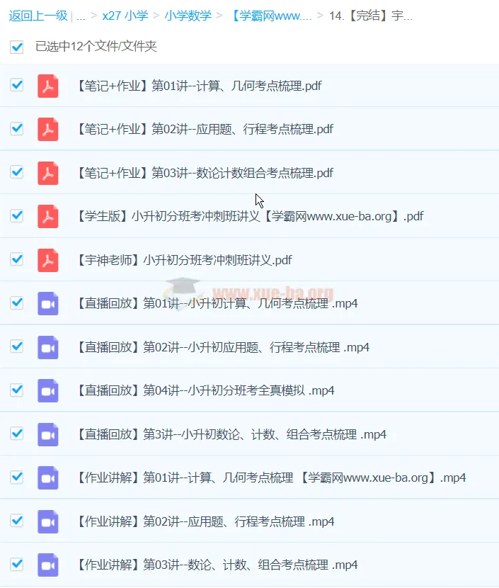 宇神小升初分班考冲刺班(完结)