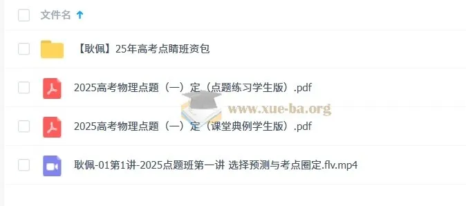 2025高三高考物理耿佩点睛班课程