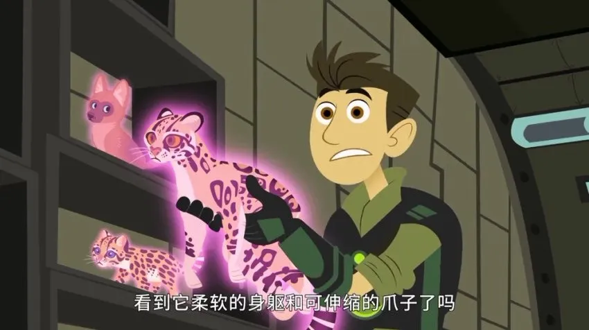 科普动画《动物兄弟》全6季158集资源合集