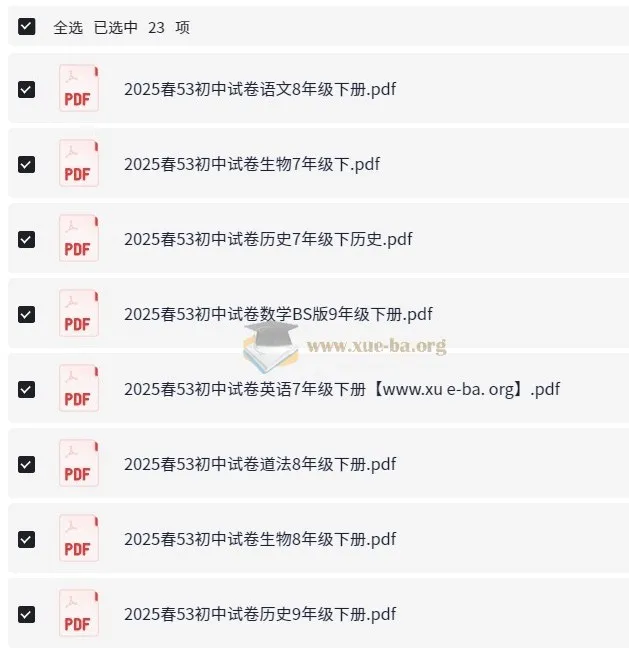 53科学备考：2025春初中各科模拟试卷