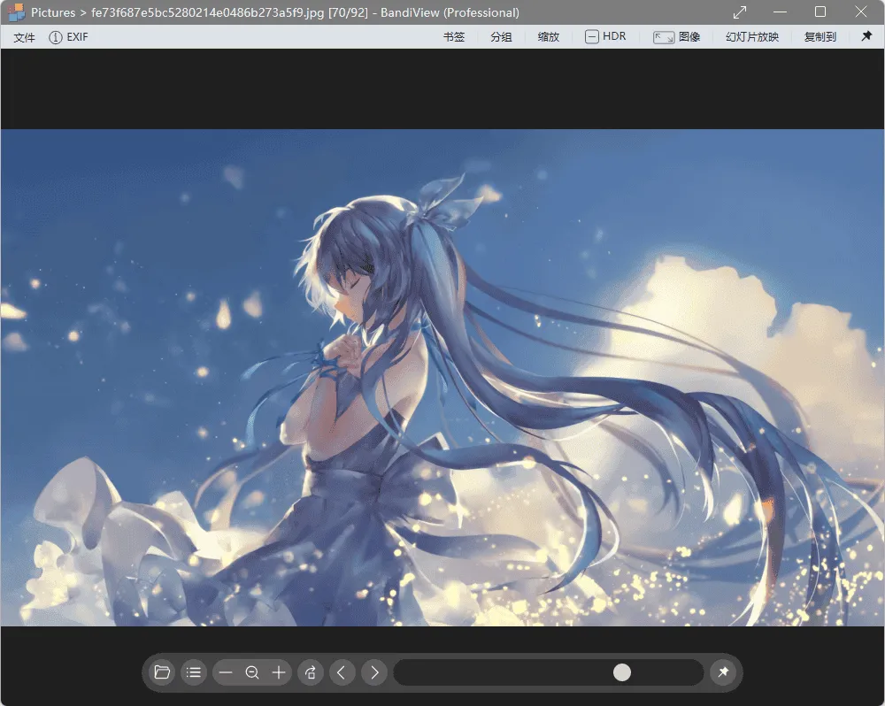 蜂蜜浏览器 BandiView 中文专业版