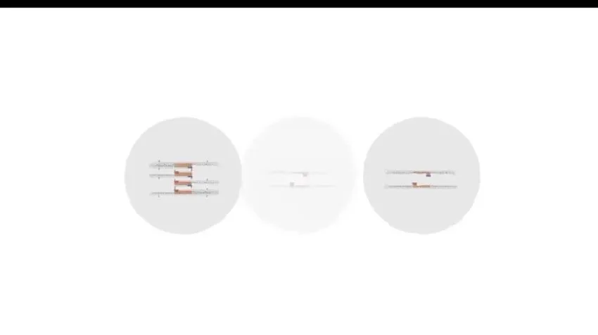 陈旭晨精讲高二生物必修课：基因工程与发酵技术