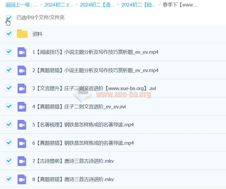 陆杰峰初二语文2024年A+春季班（下）