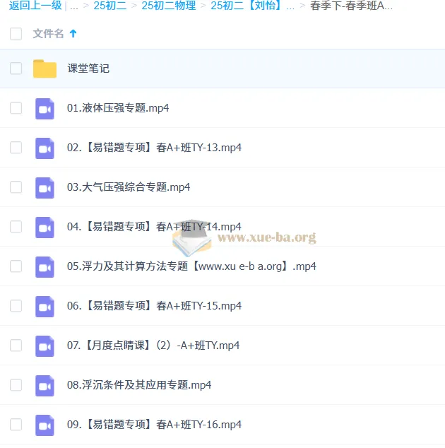 2024 - 2025刘怡作业帮初二物理A+四季课程