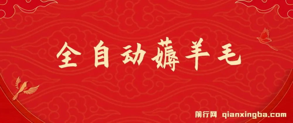 全自动薅羊毛项目：零门槛新手及工作室多平台赚钱方案