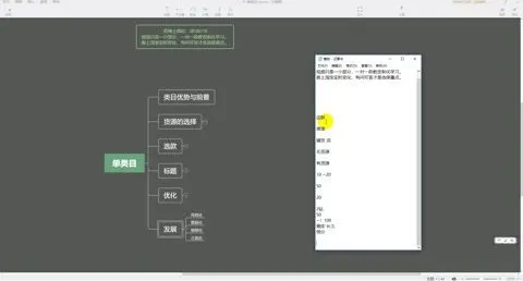 苏博士淘宝无货源精细化运营课：538节实战陪跑课程