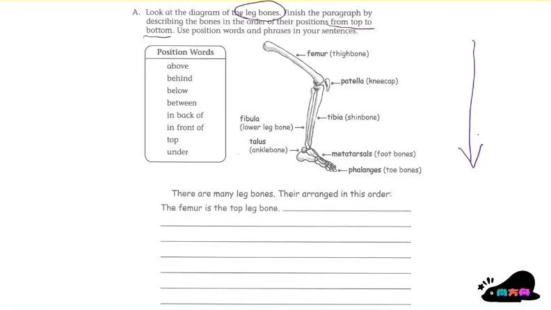曹文教授英语写作技巧精讲（3-4级）课程