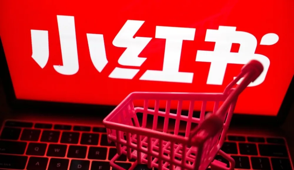 小红书电商实战保姆级教程:从小白到精英的进阶指南