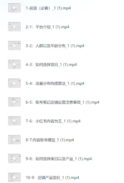 小红书电商实战保姆级教程:从小白到精英的进阶指南
