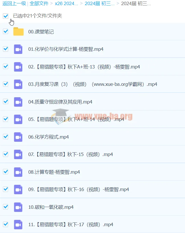 2024初三中考化学杨雯智A+秋季班(下)