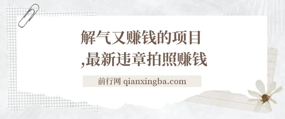 最新违章拍照赚钱项目：随手拍摄，轻松增收