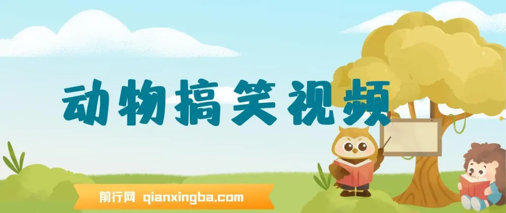 AI软件一键生成原创动物搞笑视频，助力流量收益