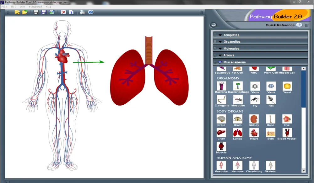 信号通路绘图工具Pathway Builder Tool（PBT）