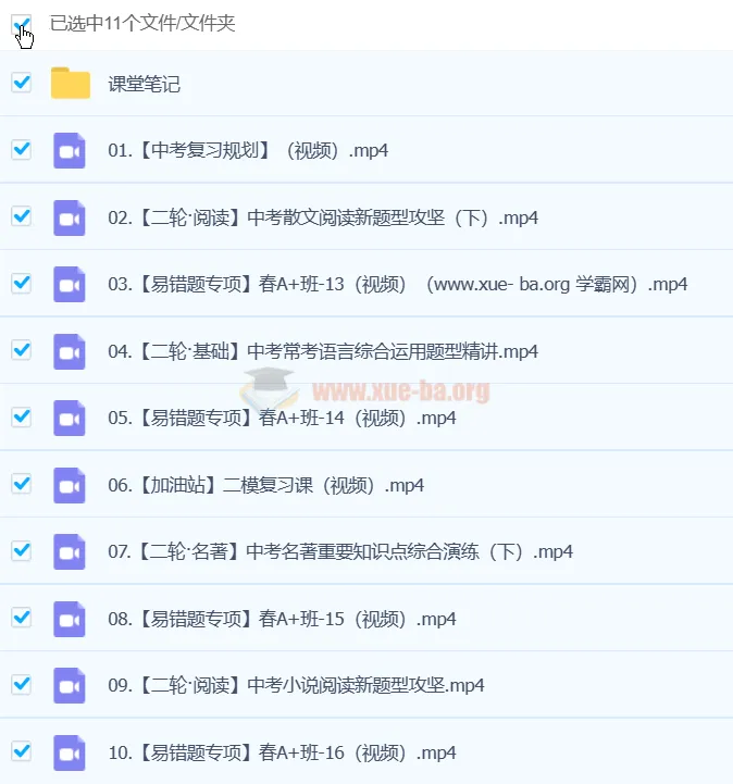 杨荷 2024 初三中考语文 A+春季班（下）视频课程