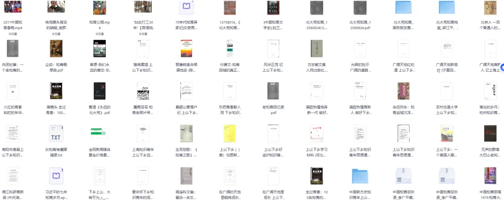 《知青专题资料合集》：超全知青相关资料收录 [PDF]