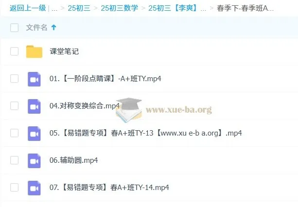 2025李爽初三中考数学全年课程（暑假班、秋季班、寒假班、春季班）