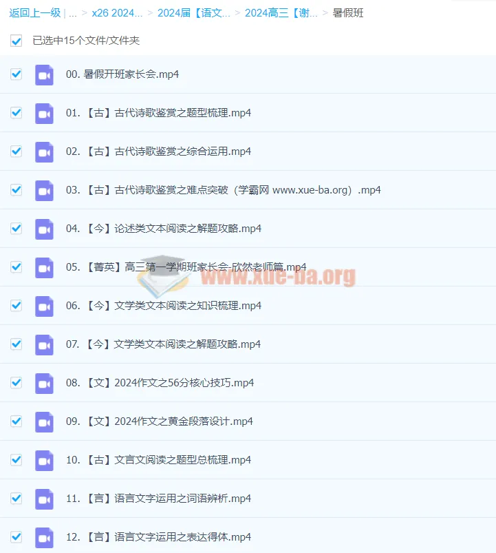2024高三高考语文:谢欣然暑假班课程