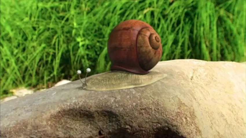 昆虫总动员 177 集全动画