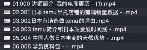 跨境电商日本Temu半托管店铺运营实战课程:新手快速入局指南