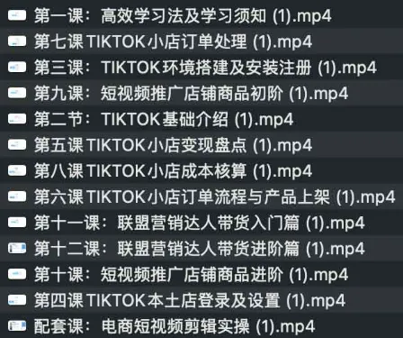 TikTok跨境电商全流程课程：从入门到实操，掌握流量变现与小店运营