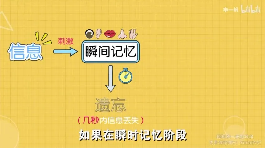 超强记忆力训练:全学科高效提分精品课程